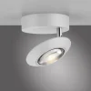 Paul Neuhaus LED Deckenleuchte PURE Oculis, snow, Tronicdimmer, dreh+schwenkbar