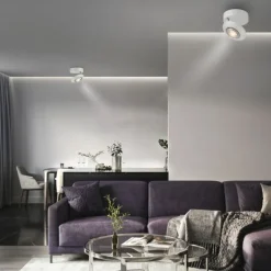 Paul Neuhaus LED Deckenleuchte PURE Oculis, snow, Tronicdimmer, dreh+schwenkbar