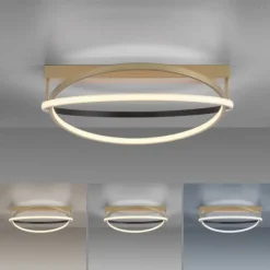 Paul Neuhaus LED Deckenleuchte Q-BELUGA messing matt dimmbar Smart Home