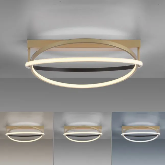 Paul Neuhaus LED Deckenleuchte Q-BELUGA messing matt dimmbar Smart Home