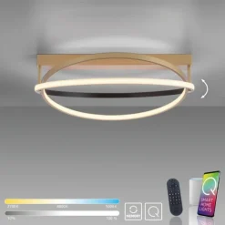 Paul Neuhaus LED Deckenleuchte Q-BELUGA messing matt dimmbar Smart Home