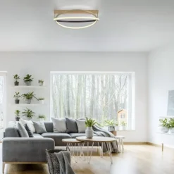 Paul Neuhaus LED Deckenleuchte Q-BELUGA messing matt dimmbar Smart Home