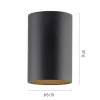 Paul Neuhaus LED Deckenleuchte PURE Point, black pearl, Indoor, dimmbar