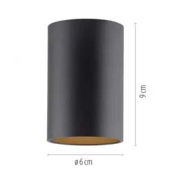 Paul Neuhaus LED Deckenleuchte PURE Point, black pearl, Indoor, dimmbar