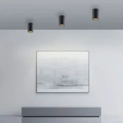 Paul Neuhaus LED Deckenleuchte PURE Point, black pearl, Indoor, dimmbar