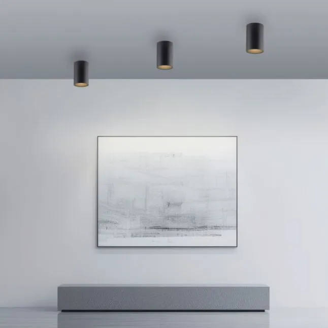 Paul Neuhaus LED Deckenleuchte PURE Point, black pearl, Indoor, dimmbar