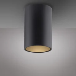 Paul Neuhaus LED Deckenleuchte PURE Point, black pearl, Indoor, dimmbar