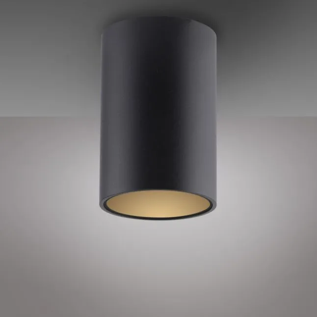 Paul Neuhaus LED Deckenleuchte PURE Point, black pearl, Indoor, dimmbar