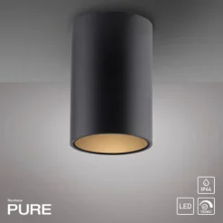 Paul Neuhaus LED Deckenleuchte PURE Point, black pearl, Indoor, dimmbar