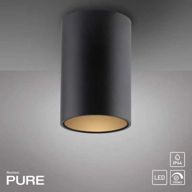 Paul Neuhaus LED Deckenleuchte PURE Point, black pearl, Indoor, dimmbar