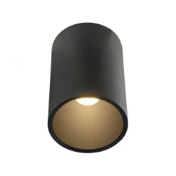 Paul Neuhaus LED Deckenleuchte PURE Point, black pearl, Indoor, dimmbar