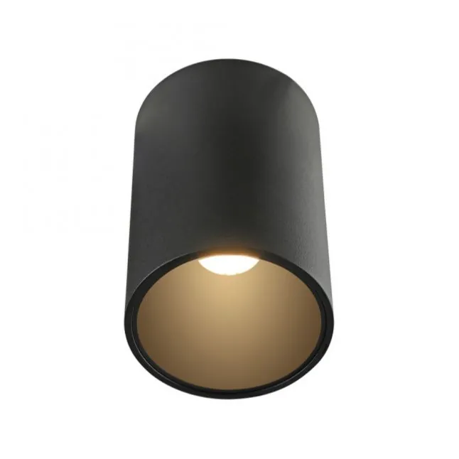 Paul Neuhaus LED Deckenleuchte PURE Point, black pearl, Indoor, dimmbar