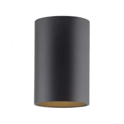 Paul Neuhaus LED Deckenleuchte PURE Point, black pearl, Indoor, dimmbar