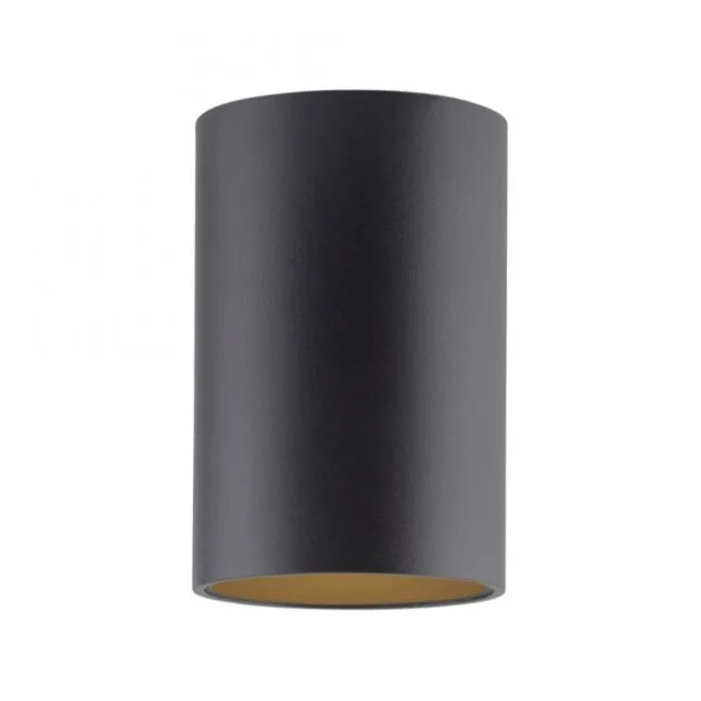 Paul Neuhaus LED Deckenleuchte PURE Point, black pearl, Indoor, dimmbar