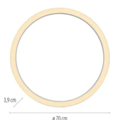 Paul Neuhaus LED Deckenleuchte PURE Lines Round, snow