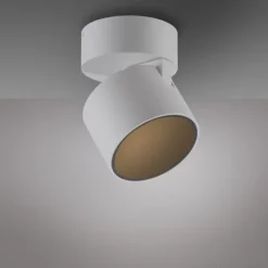 Paul Neuhaus LED Deckenleuchte PURE Cup snow