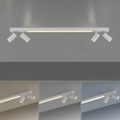 Paul Neuhaus LED Deckenleuchte PURE Lines Spot snow ,dimmbar Funk-Fernbedienung