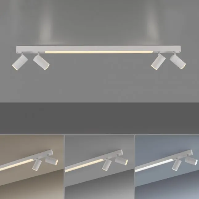 Paul Neuhaus LED Deckenleuchte PURE Lines Spot snow ,dimmbar Funk-Fernbedienung