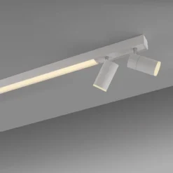 Paul Neuhaus LED Deckenleuchte PURE Lines Spot snow ,dimmbar Funk-Fernbedienung