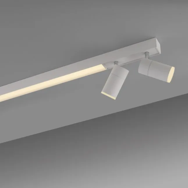 Paul Neuhaus LED Deckenleuchte PURE Lines Spot snow ,dimmbar Funk-Fernbedienung