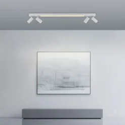 Paul Neuhaus LED Deckenleuchte PURE Lines Spot snow ,dimmbar Funk-Fernbedienung