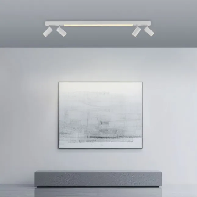 Paul Neuhaus LED Deckenleuchte PURE Lines Spot snow ,dimmbar Funk-Fernbedienung