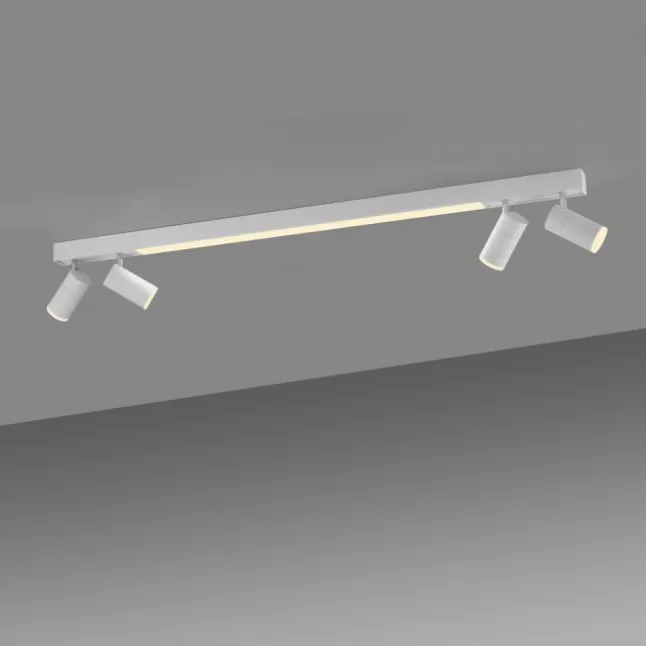 Paul Neuhaus LED Deckenleuchte PURE Lines Spot snow ,dimmbar Funk-Fernbedienung