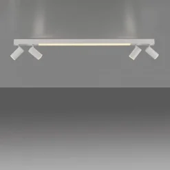 Paul Neuhaus LED Deckenleuchte PURE Lines Spot snow ,dimmbar Funk-Fernbedienung