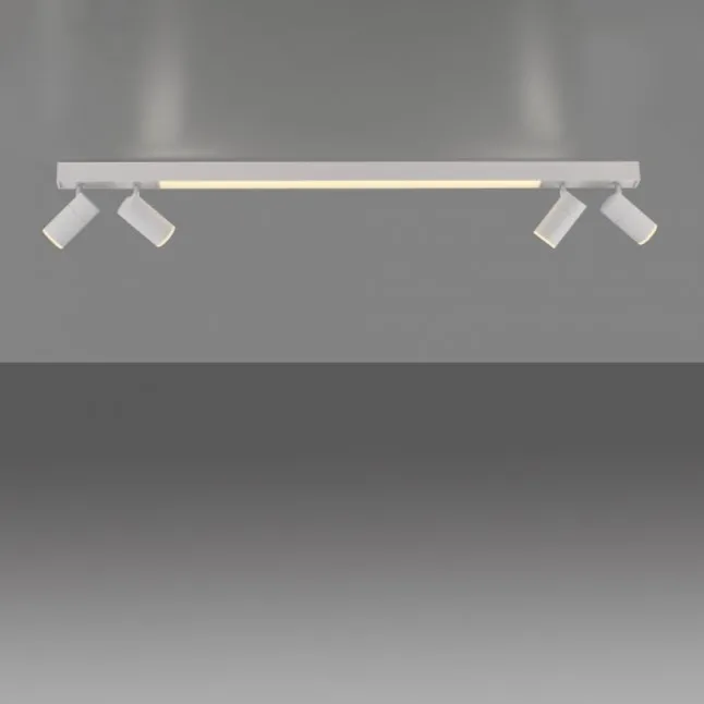 Paul Neuhaus LED Deckenleuchte PURE Lines Spot snow ,dimmbar Funk-Fernbedienung