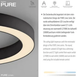 Paul Neuhaus LED Deckenleuchte PURE Lines Round, graphite