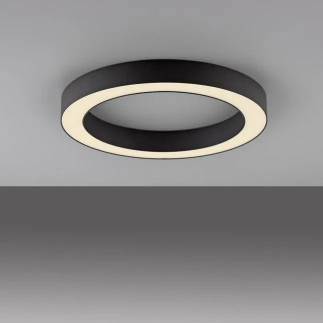 Paul Neuhaus LED Deckenleuchte PURE Lines Round, graphite