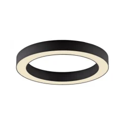 Paul Neuhaus LED Deckenleuchte PURE Lines Round, graphite