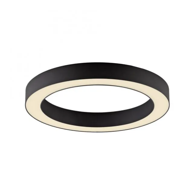 Paul Neuhaus LED Deckenleuchte PURE Lines Round, graphite