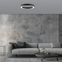 Paul Neuhaus LED Deckenleuchte PURE Lines Round, graphite