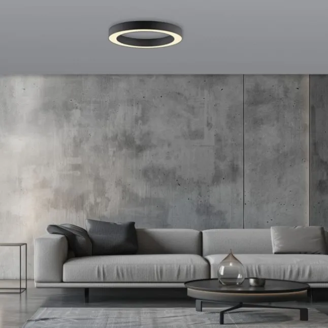 Paul Neuhaus LED Deckenleuchte PURE Lines Round, graphite