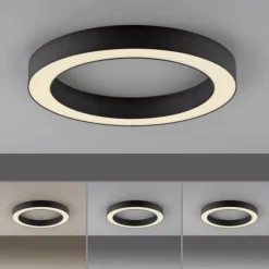 Paul Neuhaus LED Deckenleuchte PURE Lines Round, graphite