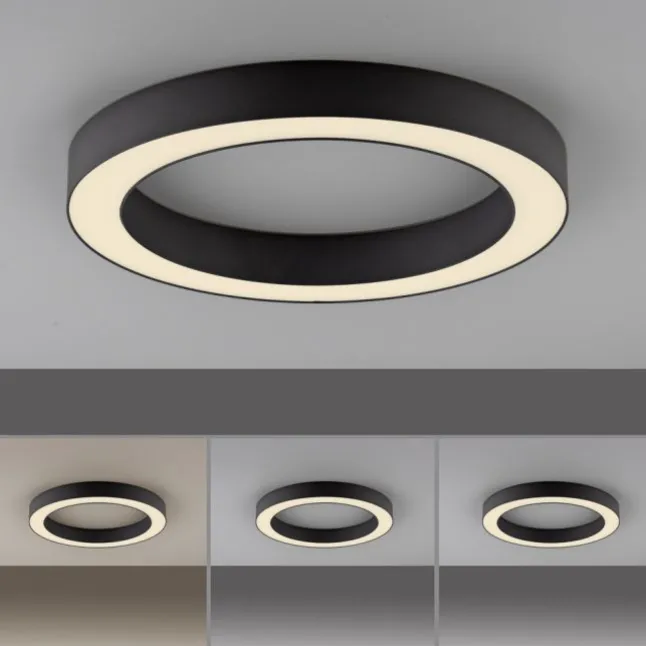 Paul Neuhaus LED Deckenleuchte PURE Lines Round, graphite