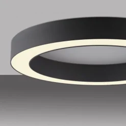 Paul Neuhaus LED Deckenleuchte PURE Lines Round, graphite