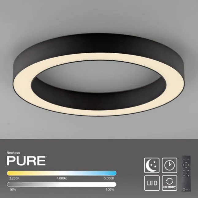 Paul Neuhaus LED Deckenleuchte PURE Lines Round, graphite