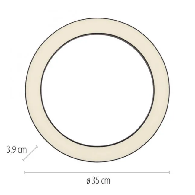Paul Neuhaus LED Deckenleuchte PURE Lines Round, graphite