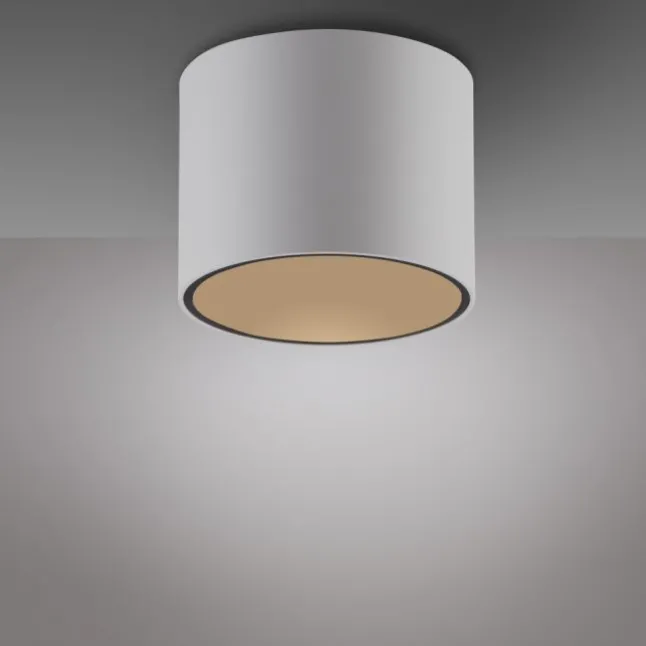 Paul Neuhaus LED Deckenleuchte PURE Point, snow,indoor dimmbar