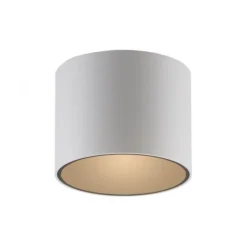 Paul Neuhaus LED Deckenleuchte PURE Point, snow,indoor dimmbar