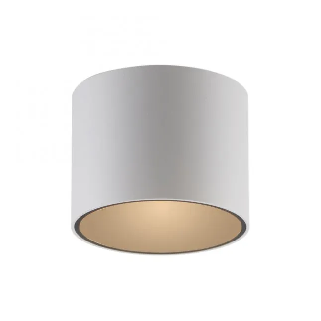 Paul Neuhaus LED Deckenleuchte PURE Point, snow,indoor dimmbar