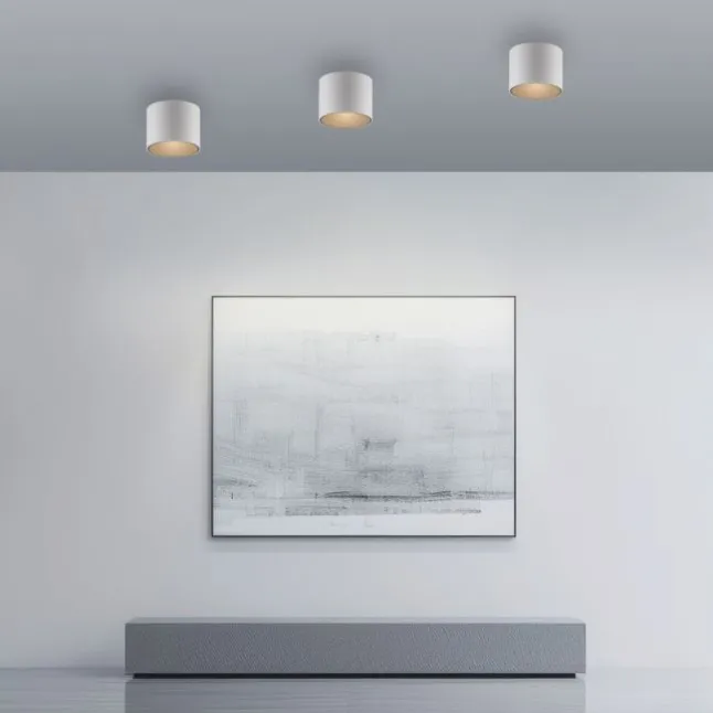 Paul Neuhaus LED Deckenleuchte PURE Point, snow,indoor dimmbar