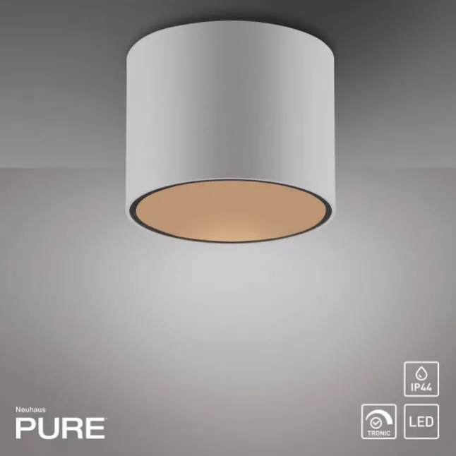 Paul Neuhaus LED Deckenleuchte PURE Point, snow,indoor dimmbar