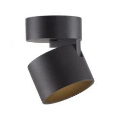 Paul Neuhaus LED Deckenleuchte PURE Cup, black pearl, dimmbar, dreh- und schwenkbar
