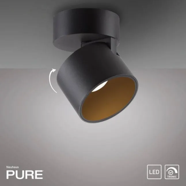 Paul Neuhaus LED Deckenleuchte PURE Cup, black pearl, dimmbar, dreh- und schwenkbar