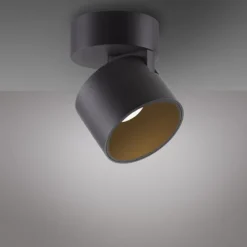 Paul Neuhaus LED Deckenleuchte PURE Cup, black pearl, dimmbar, dreh- und schwenkbar