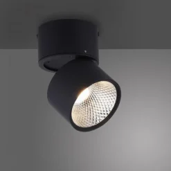 Paul Neuhaus LED Deckenstrahler PURE Nola schwarz 1 flammig drehbar dimmbar