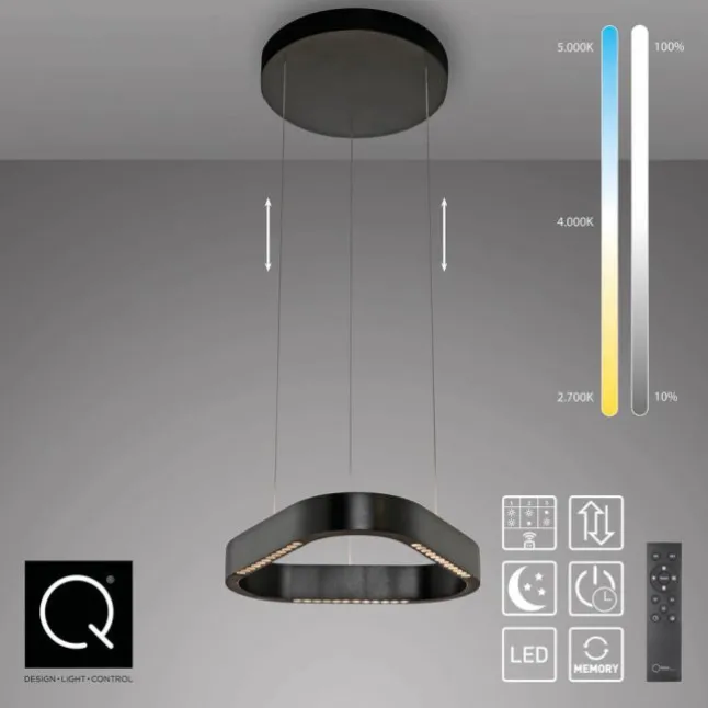 Paul Neuhaus LED Pendelleuchte Q-STRETTO, schwarz,